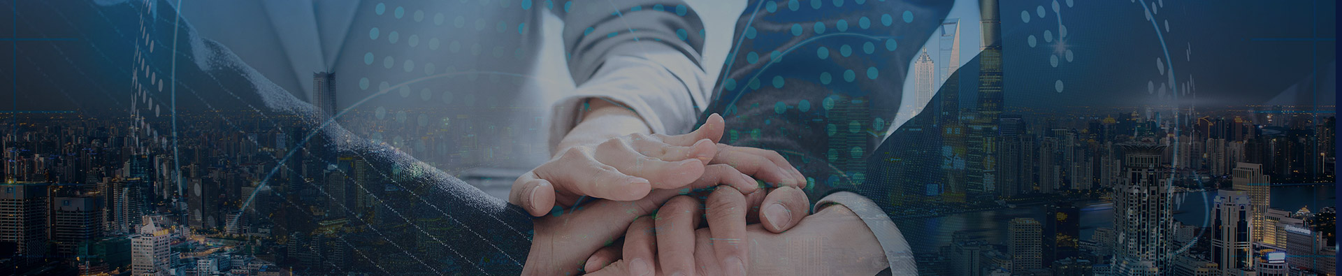 ��ϵ����