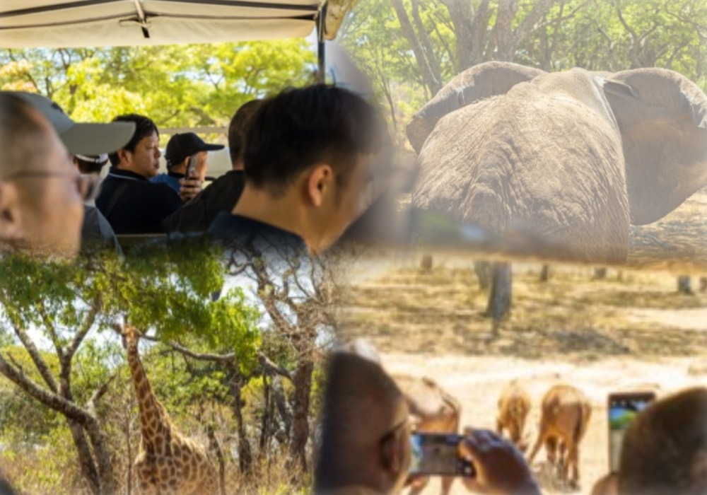 1760152420293078.jpg b1-1图片 1 (3).jpg